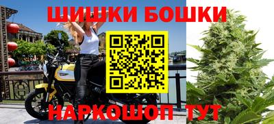 индика Кунгур
