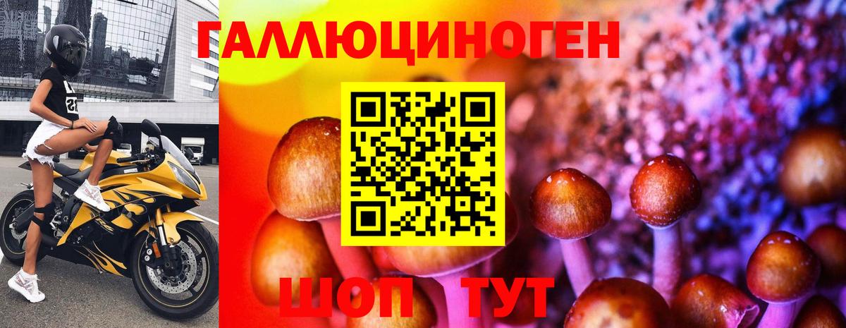 Галлюциногенные грибы GOLDEN TEACHER Канаш